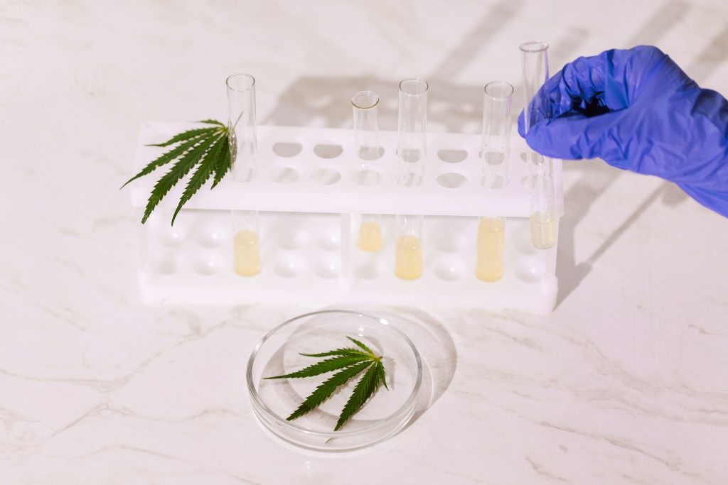 Broad Spectrum vs Full Spectrum CBD Oil: The Difference
